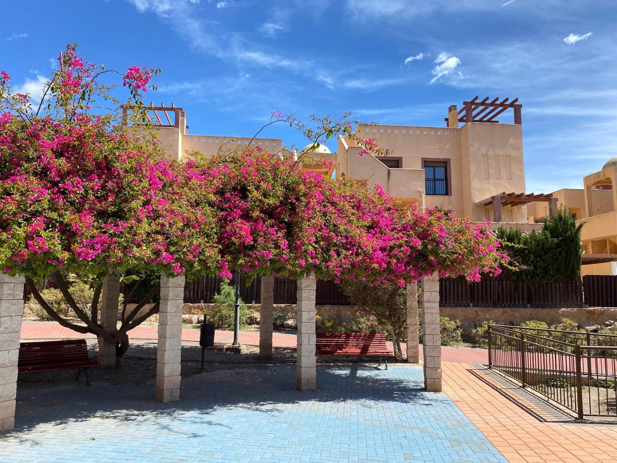 Apartamento Maria Isabel En Los Collados Golf - 阿桂拉斯 外观 照片